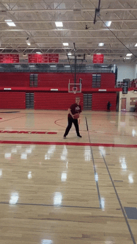 Angeloholke GIF