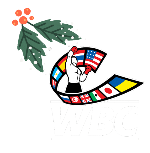 wbcboxing Sticker