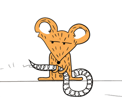 bredenkids scared looking mouse rat GIF