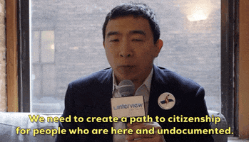 Andrew Yang Immigration GIF