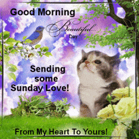 Featured image of post Good Morning Sending Love Gif / Share the best gifs now &gt;&gt;&gt;.