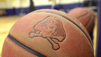 College Basketball GIF by East Carolina University