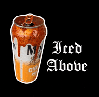 Beer Drink GIF by Iced Above