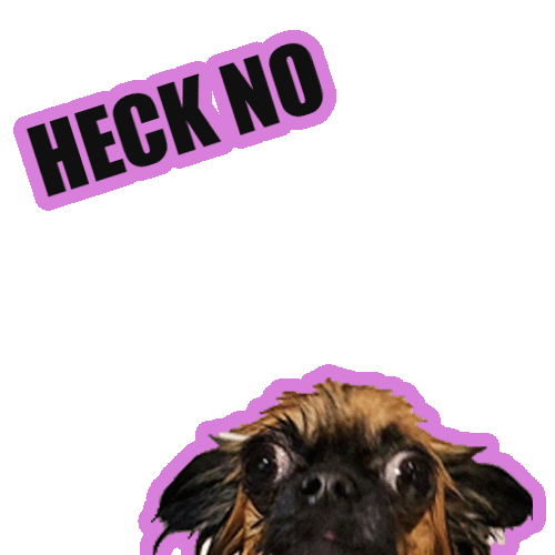 Chihuahua Sticker