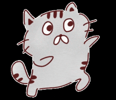 ねこ GIF