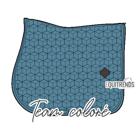 Velvet Sticker by Equitrends