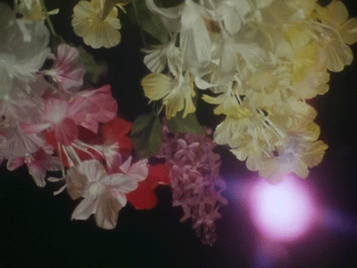 Flower GIF