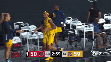 Knock Out Basketball GIF by Indiana Fever