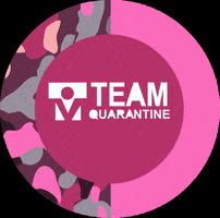 Teamquarantine GIF
