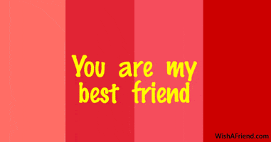 Best Friend Friendship GIF by wishafriend