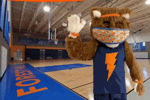 Basketball Fox GIF by Forest Hill Elementary