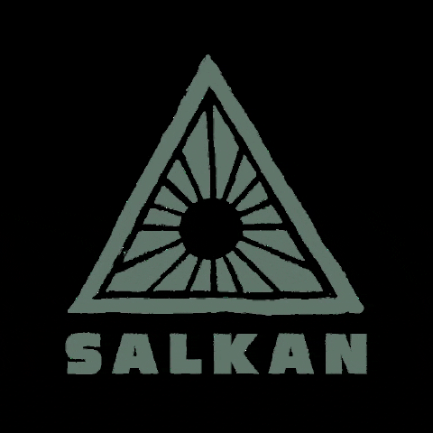 discover_salkan logo GIF