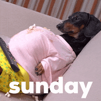 Good Morning Happy Sunday GIFs - Get the best GIF on GIPHY