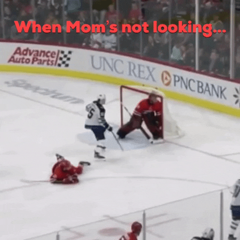 Sergei-bobrovsky GIFs - Get the best GIF on GIPHY