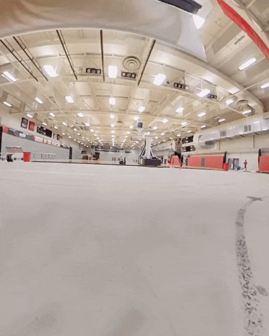 High Jump Track GIF by MSUM Dragons