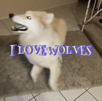 I Love Wolves GIF