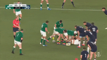 Murray22 GIF