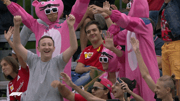 Celebrate Pink Panther GIF by Formula 1