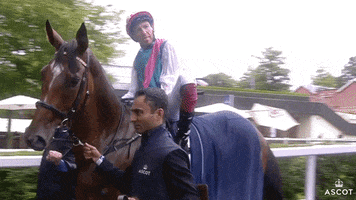 Funny Face Lol GIF by Ascot Racecourse