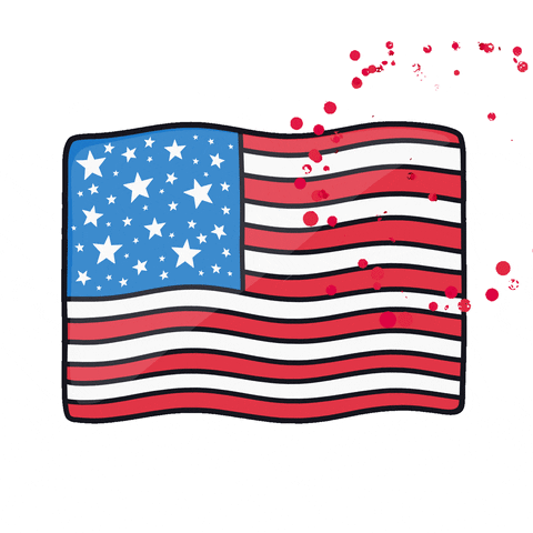 Celebrate United States GIF by Nora Fikse