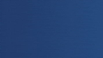 200.gif?cid=fc005b084d0bd7603d2f4ea4b59a3d7d7be47402c67df268&rid=200.gif&ct=g