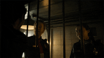 200.gif?cid=fc005b088e2e547adfce4146af85b936e5a21221db44b335&rid=200.gif&ct=g