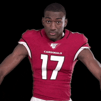 Count It Arizona Cardinals GIF by NFL