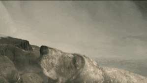 Bobbing Basset Hound GIF by Four Rest Films
