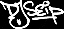 DJ Seip GIF