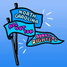 North Carolina All Out for Abortion Rights flag