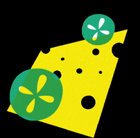 Bfc2019 Cheeseandpickles GIF by Bristol Food Connections