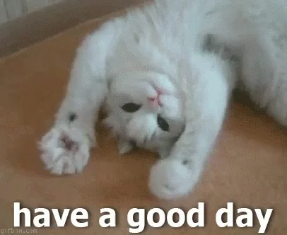 Have A Nice Day GIF by memecandy