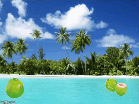 Pantai Bangsring Gifs Get The Best Gif On Giphy