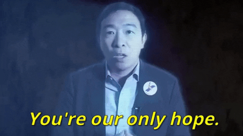  andrew yang youre our only hope GIF