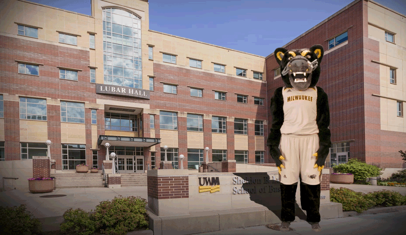 Campus Pounce GIF by UW-Milwaukee - Find & Share on GIPHY