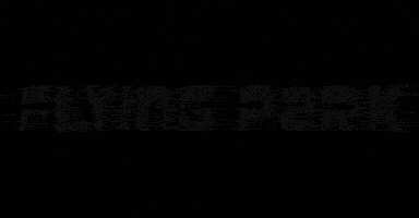 FLYING PARK GIF