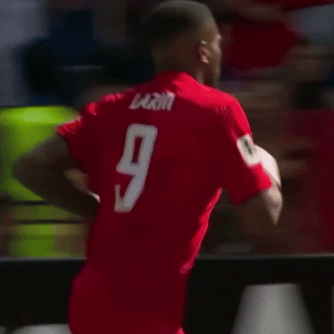 Fifa World Cup Football GIF