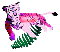 Tiger Daydream Sticker by Aarrelabel