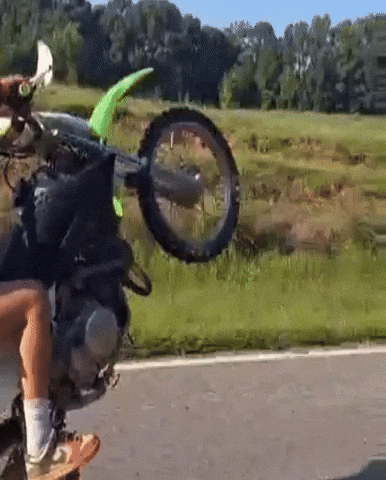 Charlotte Wheelie GIF