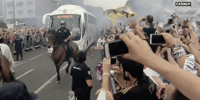crowd control stop being stupid GIF