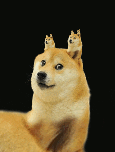Animated GIF