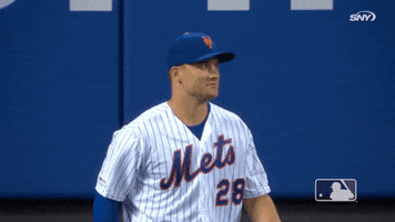 Ny Mets Sport GIF by New York Mets