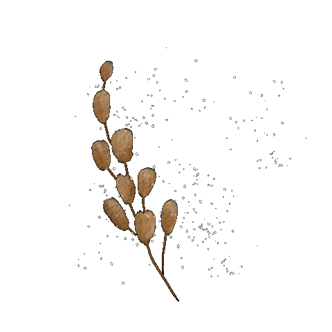 Flower Sticker