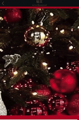 Dogwhere GIF