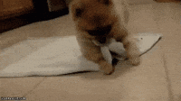 Sleepy Good Night GIF Sleepy Good Night GIF