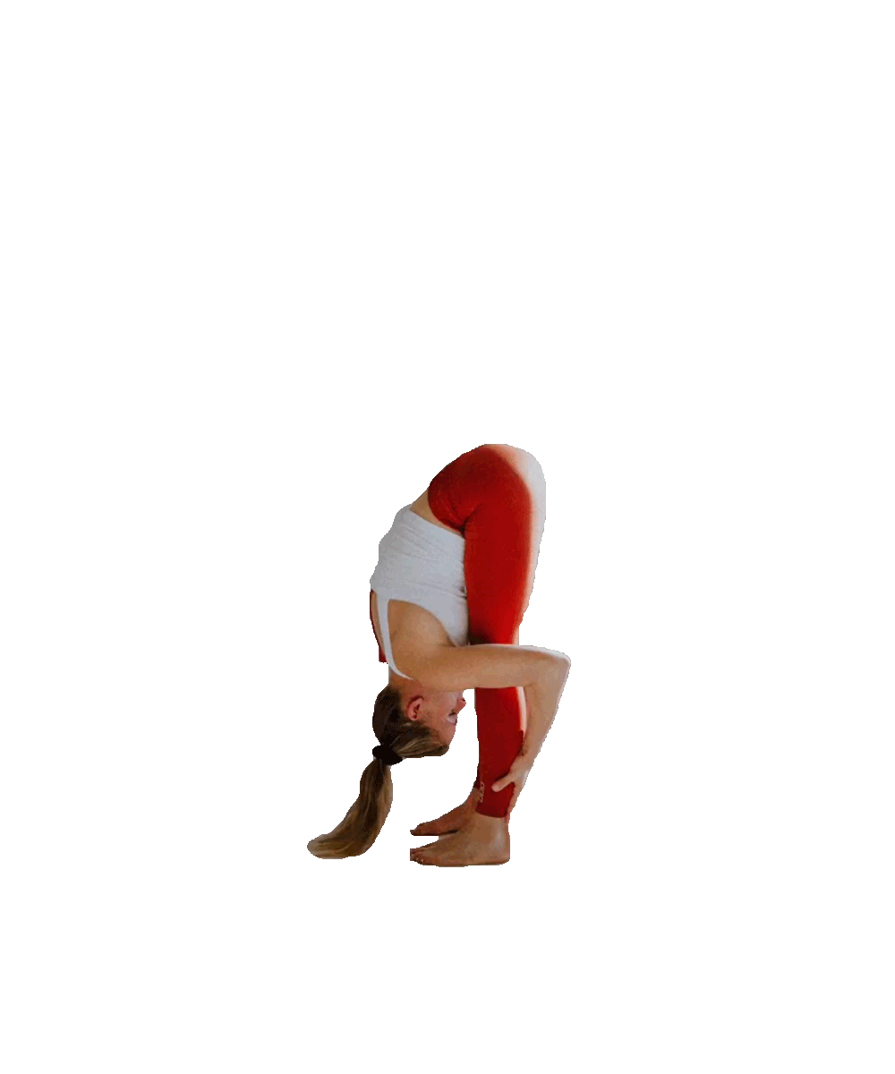 Downward Dog Yoga GIF by YOGABODY