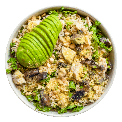 Sticker by Avocaderia