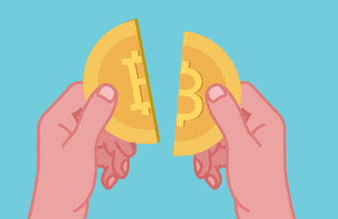 Bitcoin Crypto GIF by BISONApp