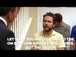 Its Always Sunny GIF
