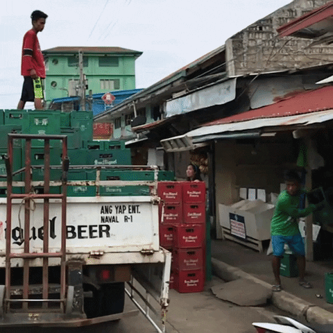 MISION CEBU GIF